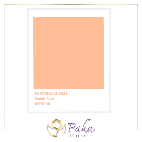 PANTONE 13-1023 Peach Fuzz #FFBE98